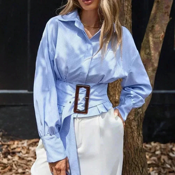 Multicolor Elegant Women's Pleated Waist Slimming Puff Sleeve Striped Blouse - Picture 6 of 6